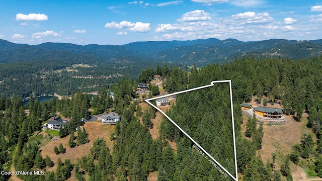 1273 S Grouse Meadow Dr, Coeur Dalene, ID 83814 - aerial view of property's location with a forest and property parcel outlined