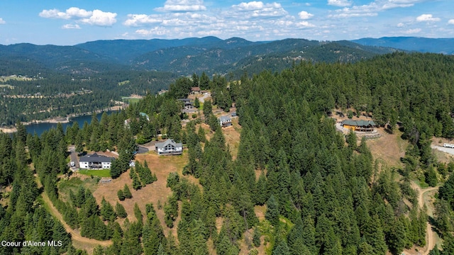 1273 S Grouse Meadow Dr, Coeur Dalene, ID 83814 - aerial overview of property's location featuring a forest and mountains