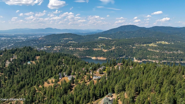 1273 S Grouse Meadow Dr, Coeur Dalene, ID 83814 - view of mountain backdrop with a heavily wooded area and a large body of water