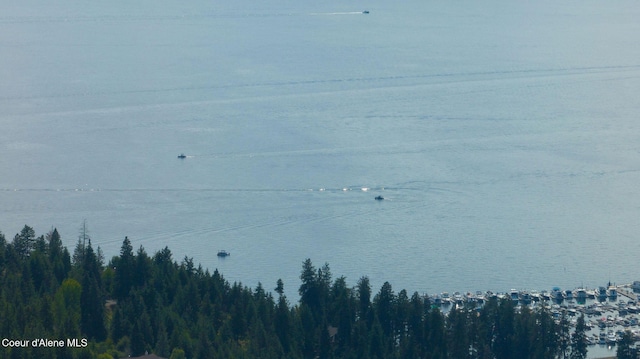 1273 S Grouse Meadow Dr, Coeur Dalene, ID 83814 - water view