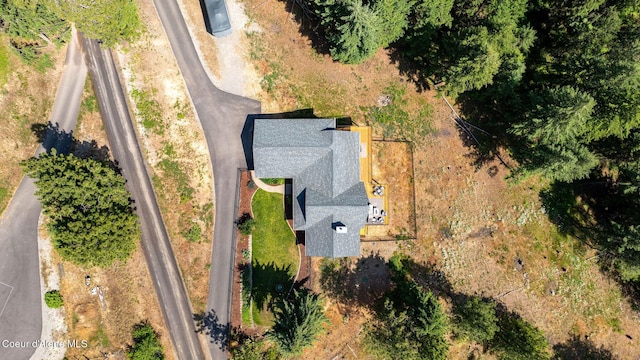 1273 S Grouse Meadow Dr, Coeur Dalene, ID 83814 - aerial view of property and surrounding area