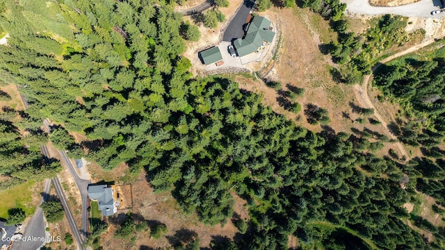 1273 S Grouse Meadow Dr, Coeur Dalene, ID 83814 - view of property location
