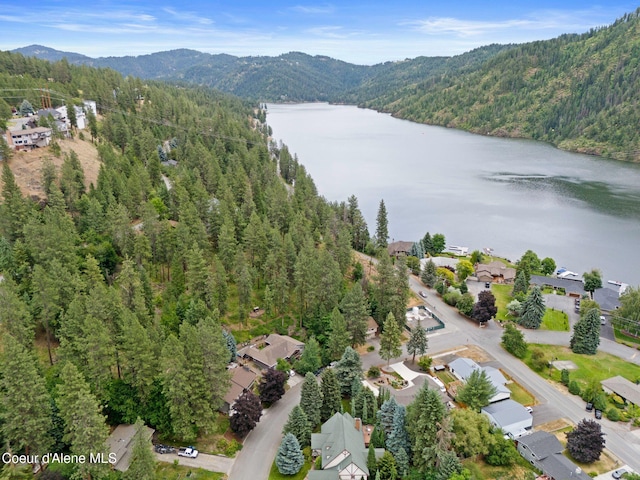 3011 E Fernan Ct, Coeur Dalene, ID 83814 - aerial view of property's location with a forest and a water and mountain view