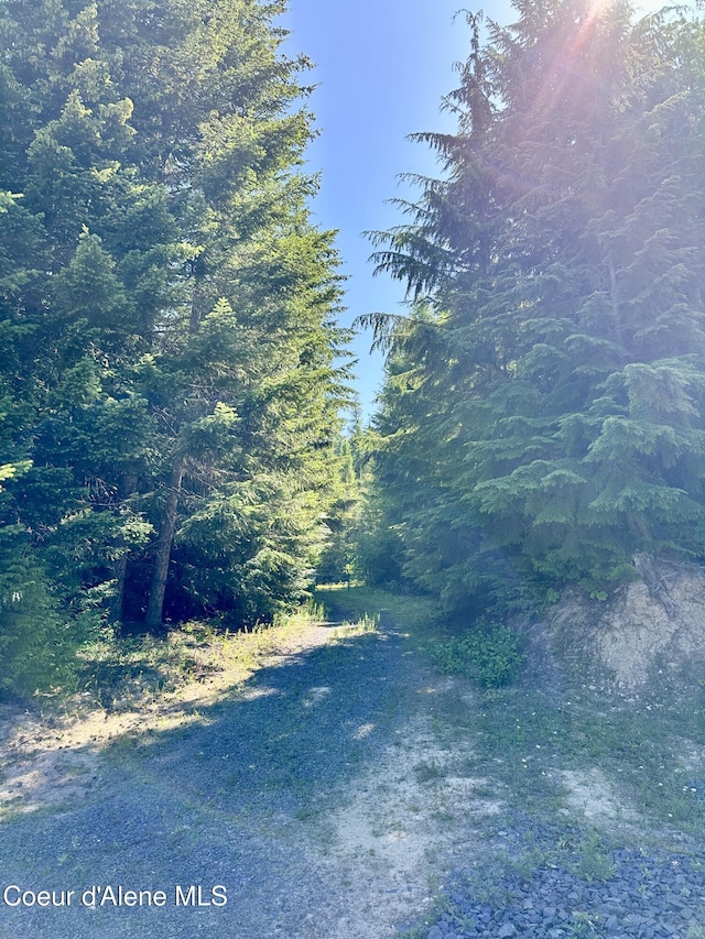 1522 Alpine Dr, Fernwood, ID 83830