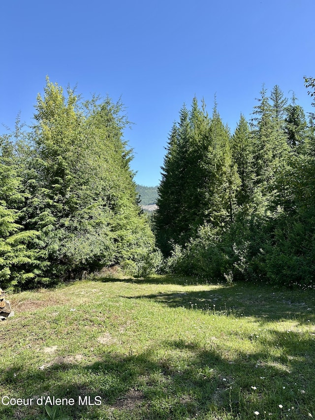 1522 Alpine Dr, Fernwood, ID 83830