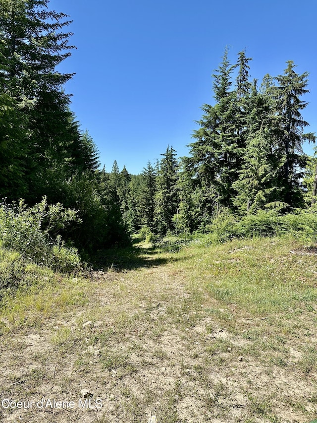 1522 Alpine Dr, Fernwood, ID 83830
