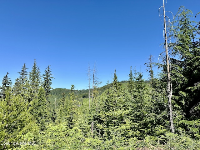 1522 Alpine Dr, Fernwood, ID 83830
