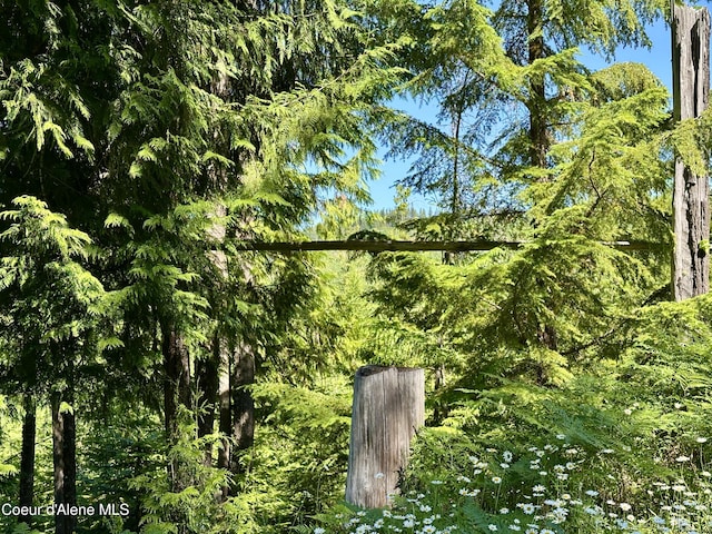 1522 Alpine Dr, Fernwood, ID 83830