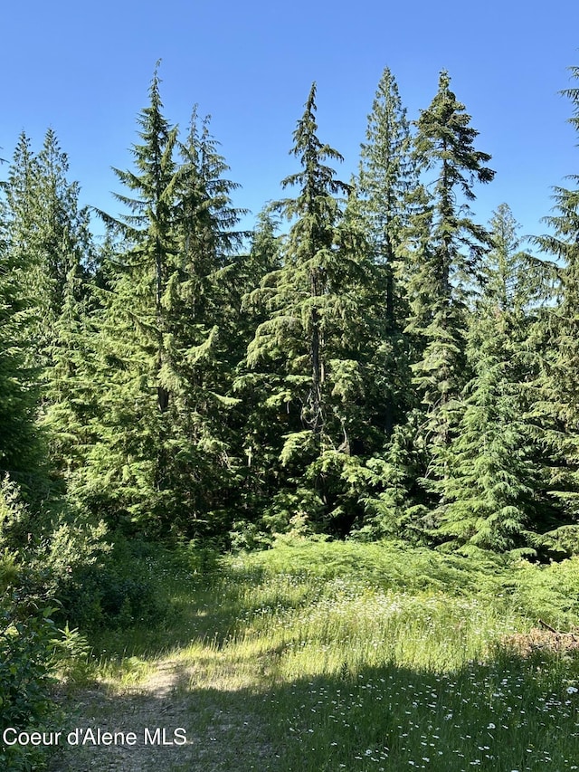1522 Alpine Dr, Fernwood, ID 83830