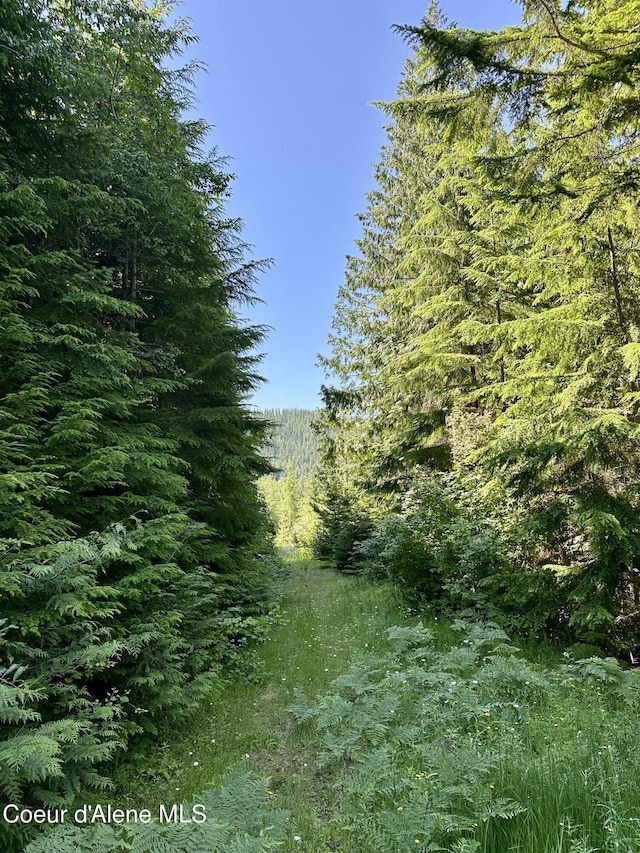 1522 Alpine Dr, Fernwood, ID 83830