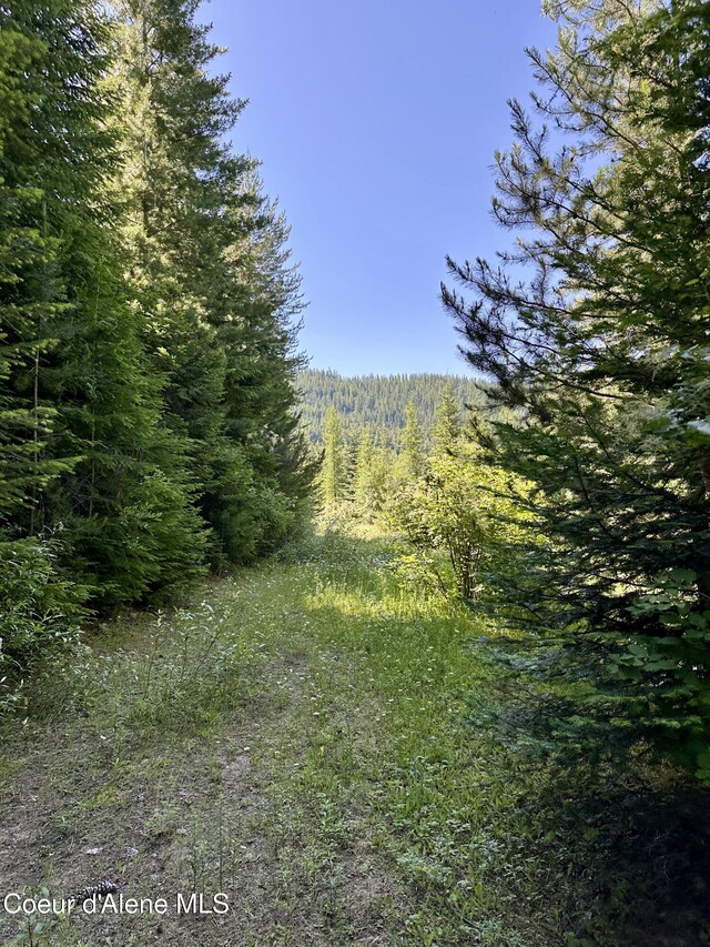 1522 Alpine Dr, Fernwood, ID 83830