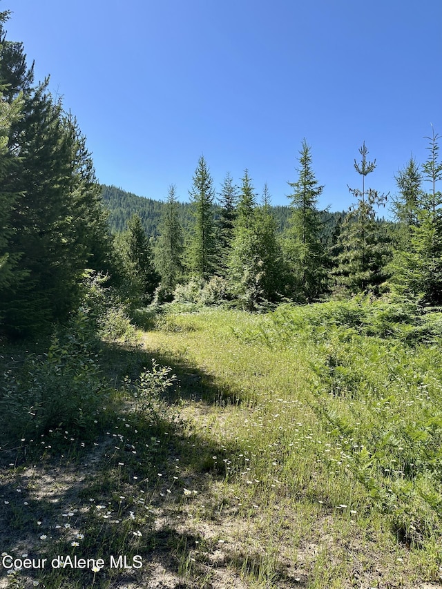 1522 Alpine Dr, Fernwood, ID 83830