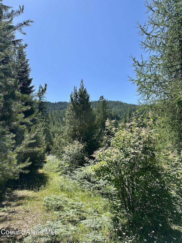 1522 Alpine Dr, Fernwood, ID 83830