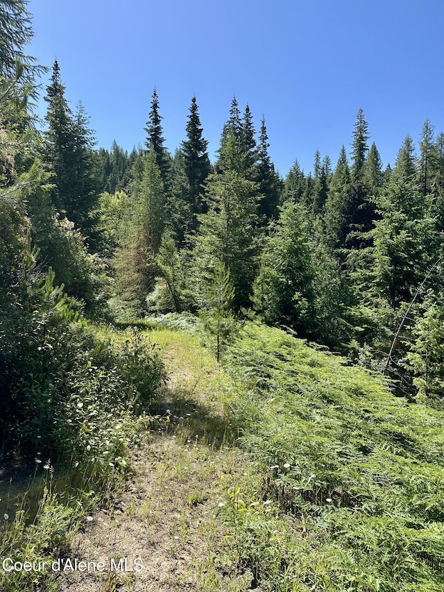 1522 Alpine Dr, Fernwood, ID 83830