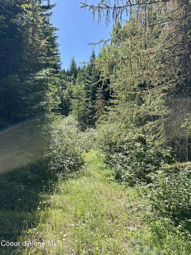 1522 Alpine Dr, Fernwood, ID 83830