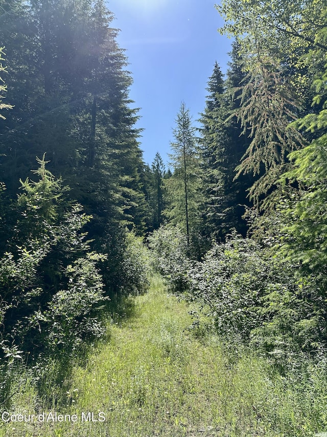 1522 Alpine Dr, Fernwood, ID 83830