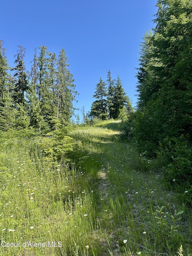 1522 Alpine Dr, Fernwood, ID 83830
