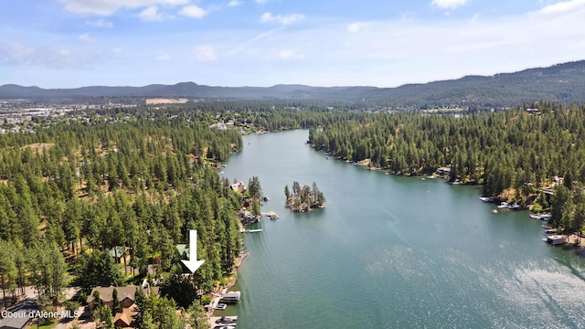 515 S Idaho St, Post Falls, ID 83854 - aerial view of a forest and a water and mountain view