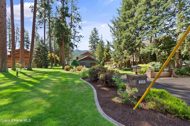 515 S Idaho St, Post Falls, ID 83854 - view of green lawn