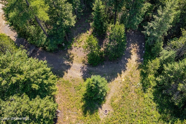 NNA Cheyenne Dr, Sagle, ID 83860 - photo 8