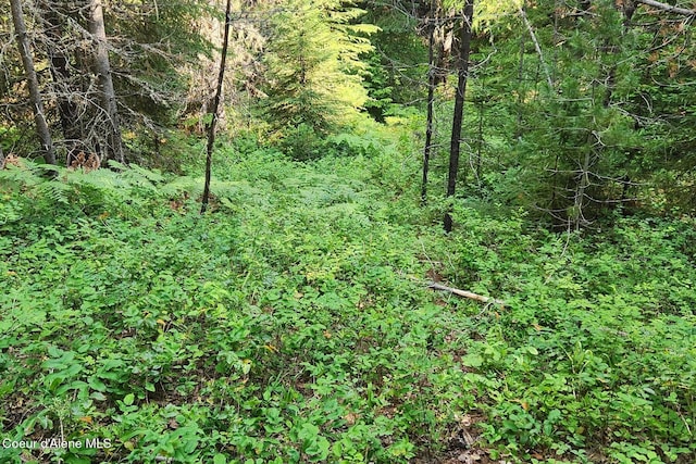 000 Reeder Bay Rd, Nordman, ID 83848