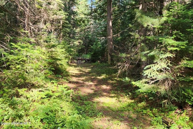 000 Reeder Bay Rd, Nordman, ID 83848