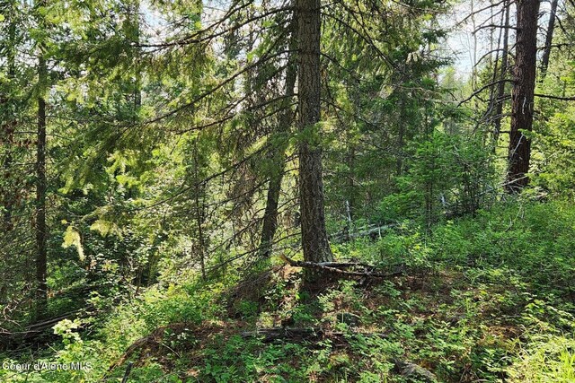 000 Reeder Bay Rd, Nordman, ID 83848