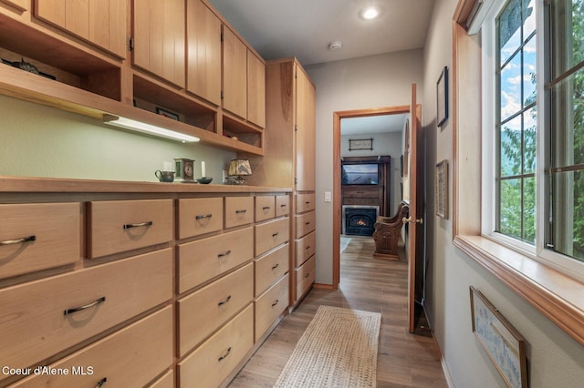 512 River Dr, Clark Fork, ID 83811 - hallway with light wood-type flooring and recessed lighting