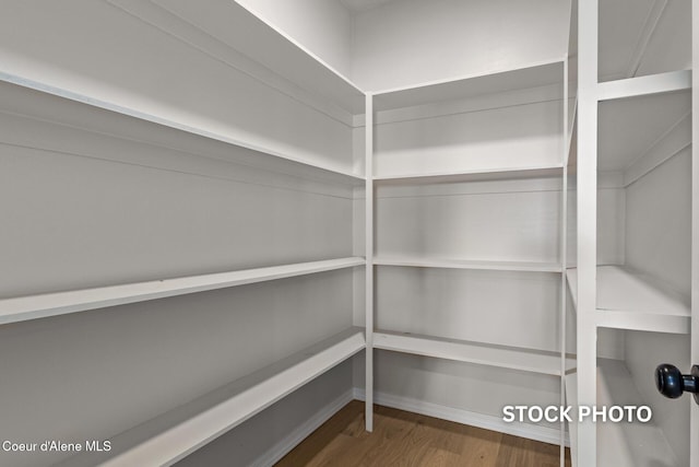 L1B1 Sylvan Rd, Athol, ID 83801 - view of pantry