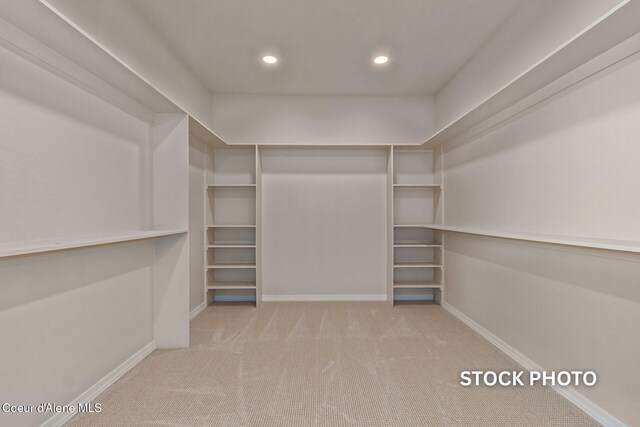 L1B1 Sylvan Rd, Athol, ID 83801 - spacious closet with carpet floors