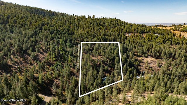 2711 S Carpenter Loop, Post Falls, ID 83854 - aerial view of property's location with a heavily wooded area and property parcel outlined