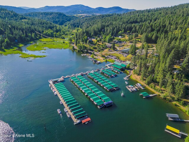 182XX S Woodland Shores Dr, Coeur Dalene, ID 83814 - photo 19