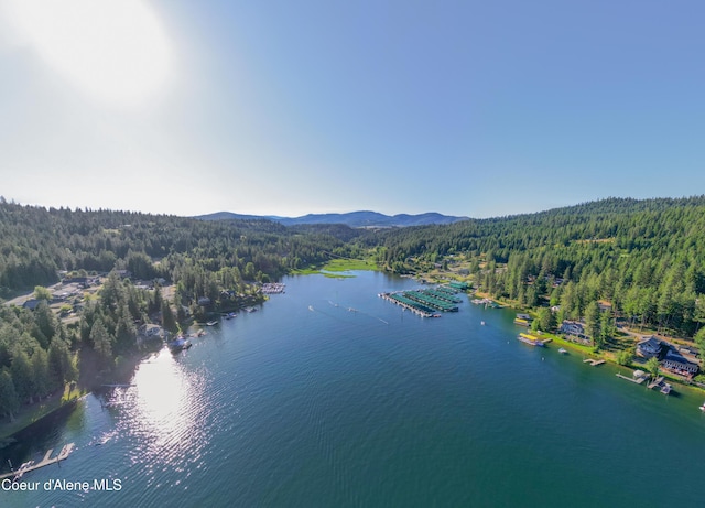 182XX S Woodland Shores Dr, Coeur Dalene, ID 83814 - photo 21