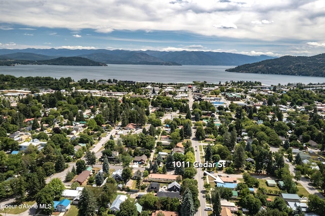 1011 Cedar St, Sandpoint, ID 83864 - photo 30