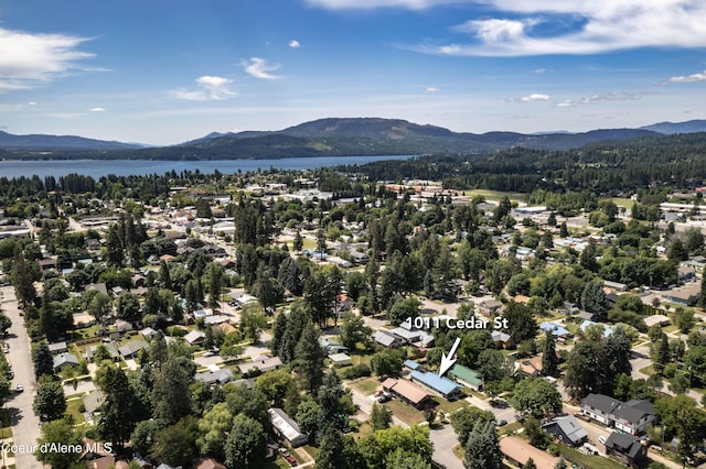 1011 Cedar St, Sandpoint, ID 83864 - photo 32