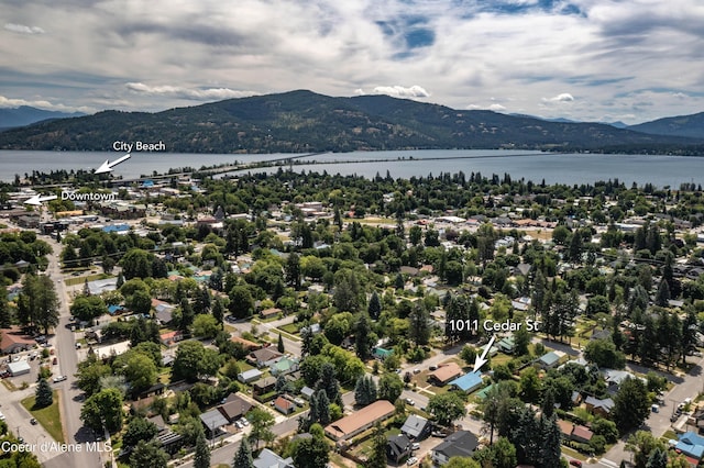 1011 Cedar St, Sandpoint, ID 83864 - photo 33