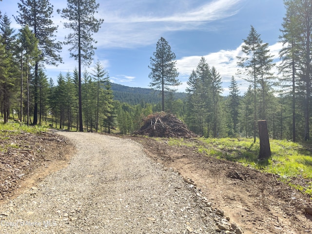 217 Gold Mountain Dr, Sagle, ID 83860 - photo 1