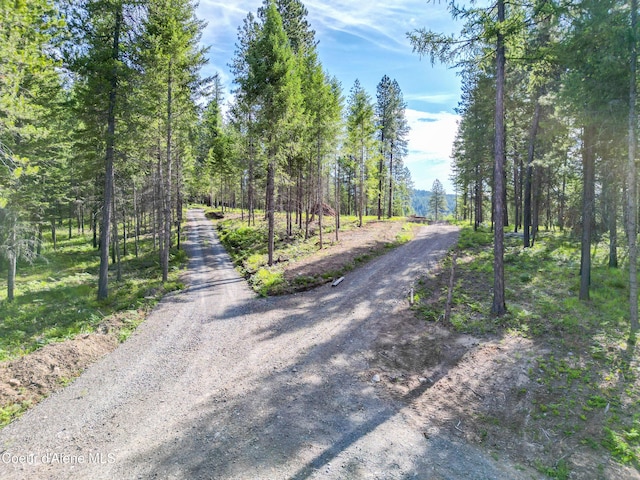 217 Gold Mountain Dr, Sagle, ID 83860 - photo 2