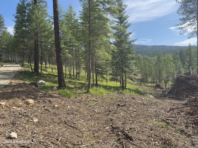 217 Gold Mountain Dr, Sagle, ID 83860 - photo 6