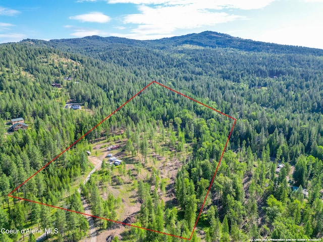 217 Gold Mountain Dr, Sagle, ID 83860 - photo 7