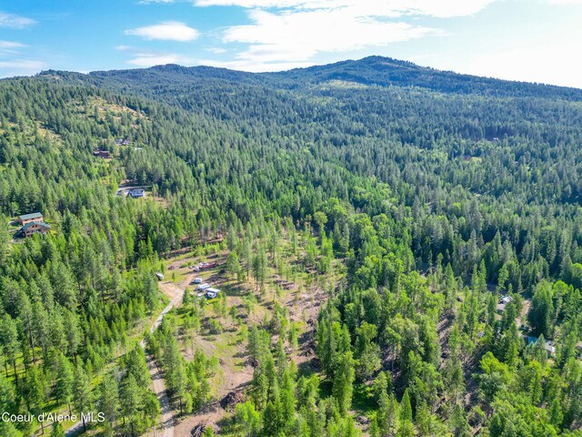 217 Gold Mountain Dr, Sagle, ID 83860 - photo 8