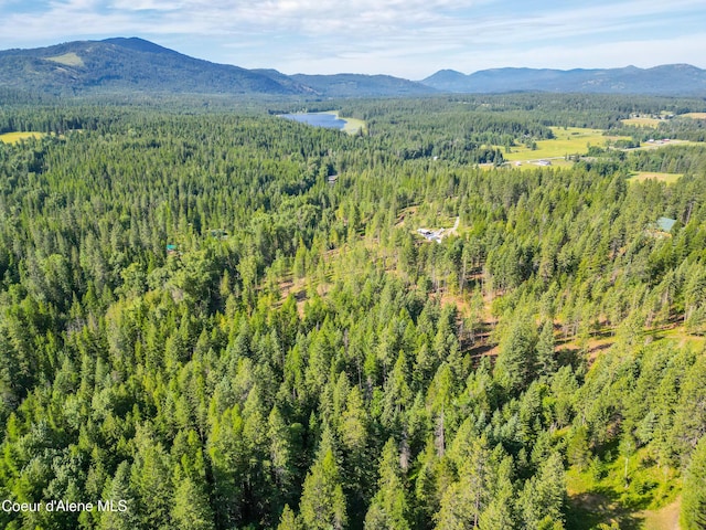 217 Gold Mountain Dr, Sagle, ID 83860 - photo 10