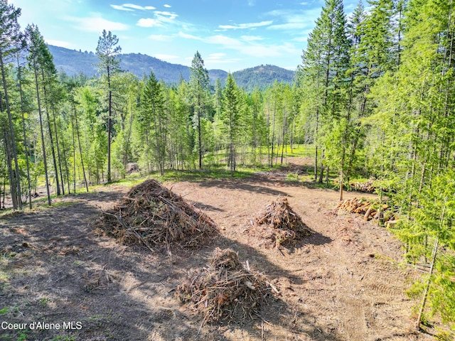217 Gold Mountain Dr, Sagle, ID 83860 - photo 11