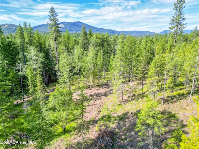 217 Gold Mountain Dr, Sagle, ID 83860 - photo 12
