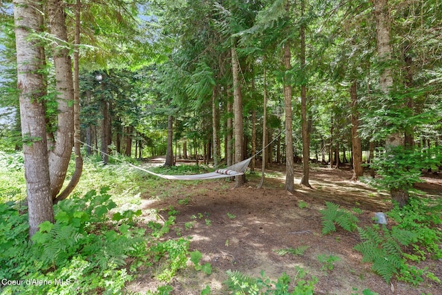 24721 N Teddy Loop, Rathdrum, ID 83858 - photo 33