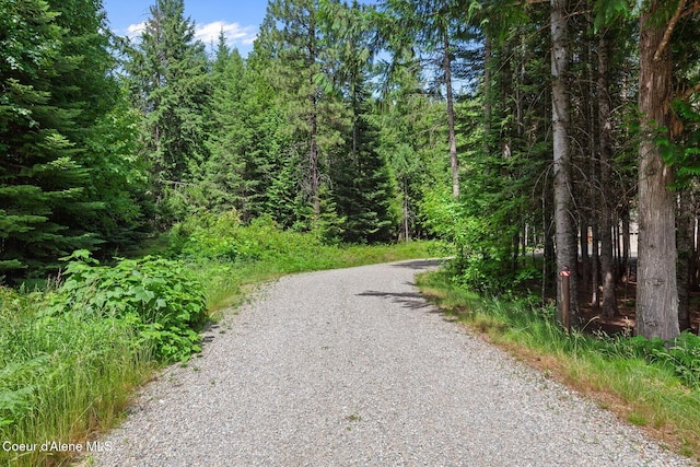 24721 N Teddy Loop, Rathdrum, ID 83858 - photo 35