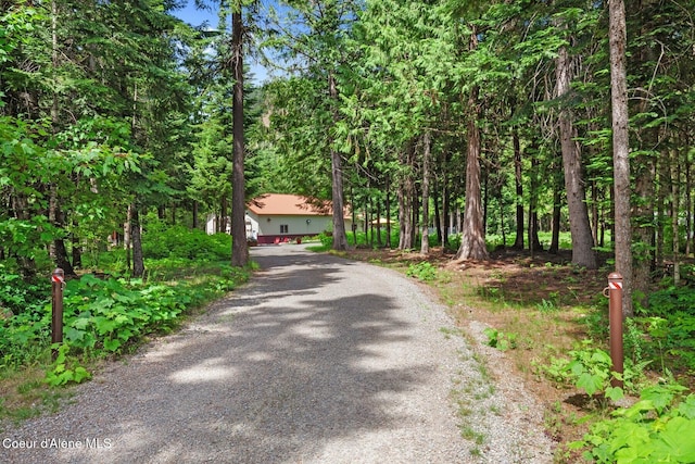 24721 N Teddy Loop, Rathdrum, ID 83858 - photo 36