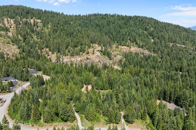 24721 N Teddy Loop, Rathdrum, ID 83858 - photo 39