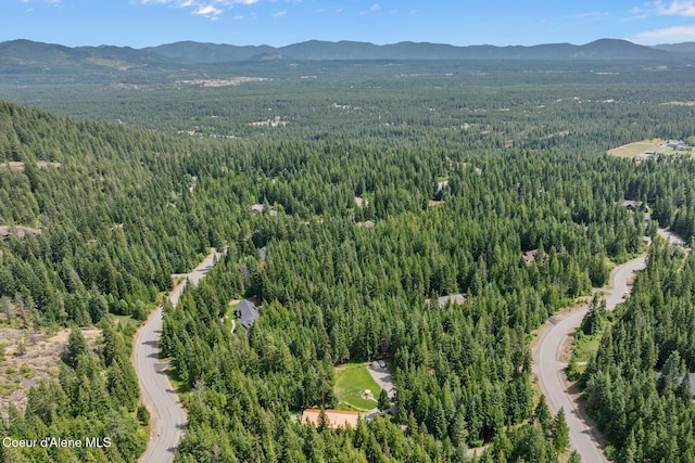 24721 N Teddy Loop, Rathdrum, ID 83858 - photo 41