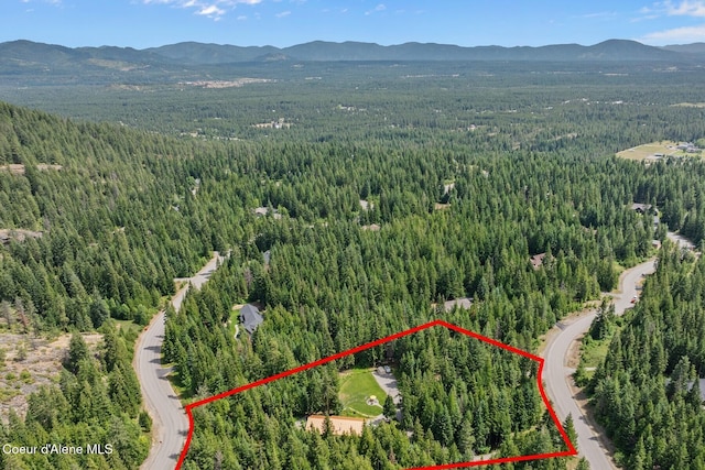 24721 N Teddy Loop, Rathdrum, ID 83858 - photo 42